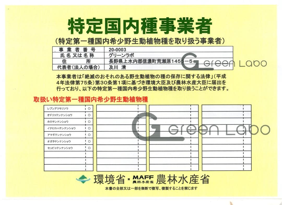 tomotomoさん専用　天南星複数