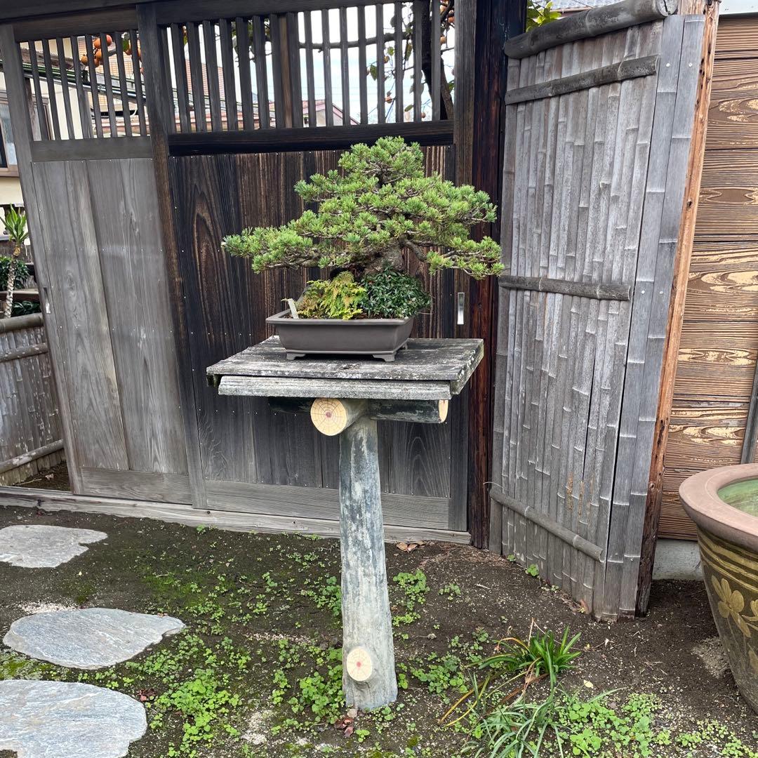 盆栽を飾る棚　日本庭園 ガーデニング 盆栽台【お引き取り・手渡し限定】