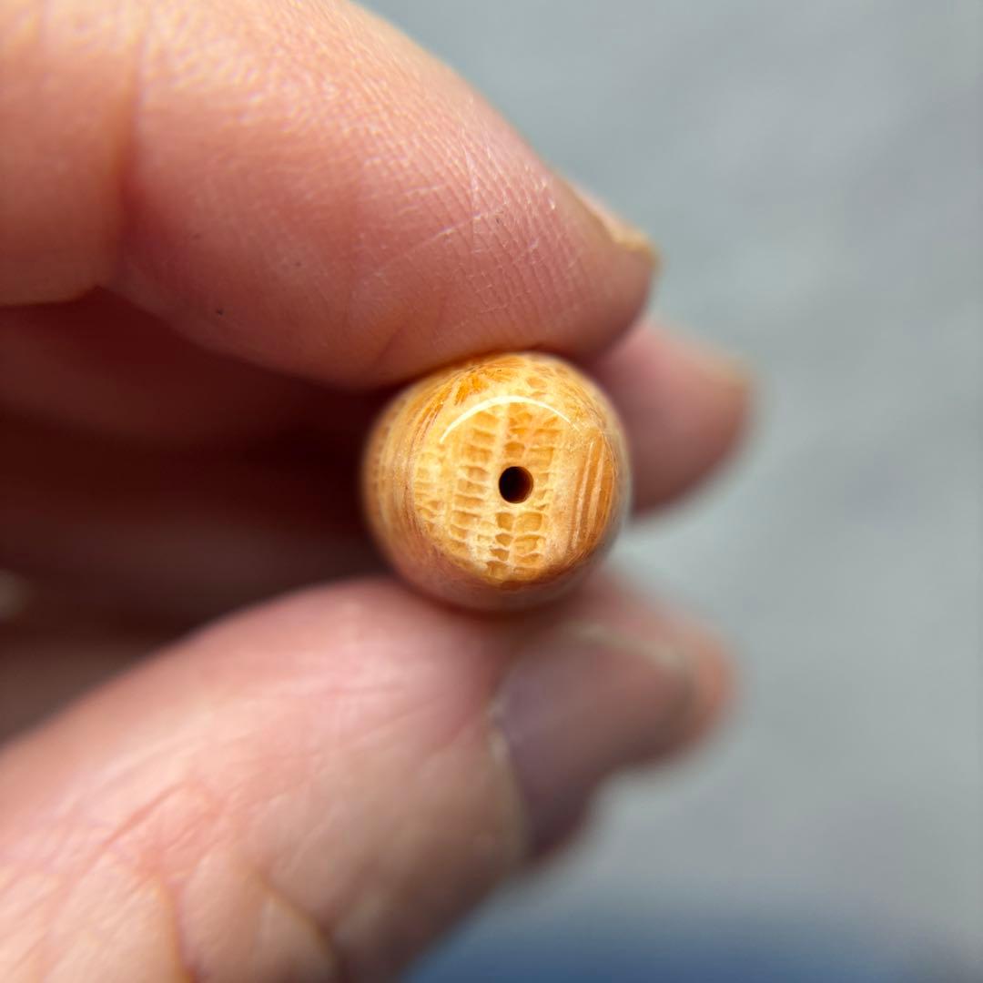 あずきちゃんフォッシルコーラル　天珠　1-333