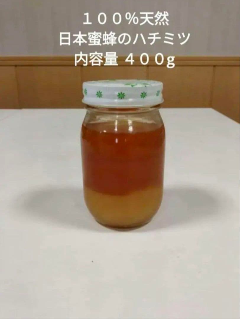 日本蜜蜂の天然ハチミツ　無添加　非加熱 内容量４００g × 3本