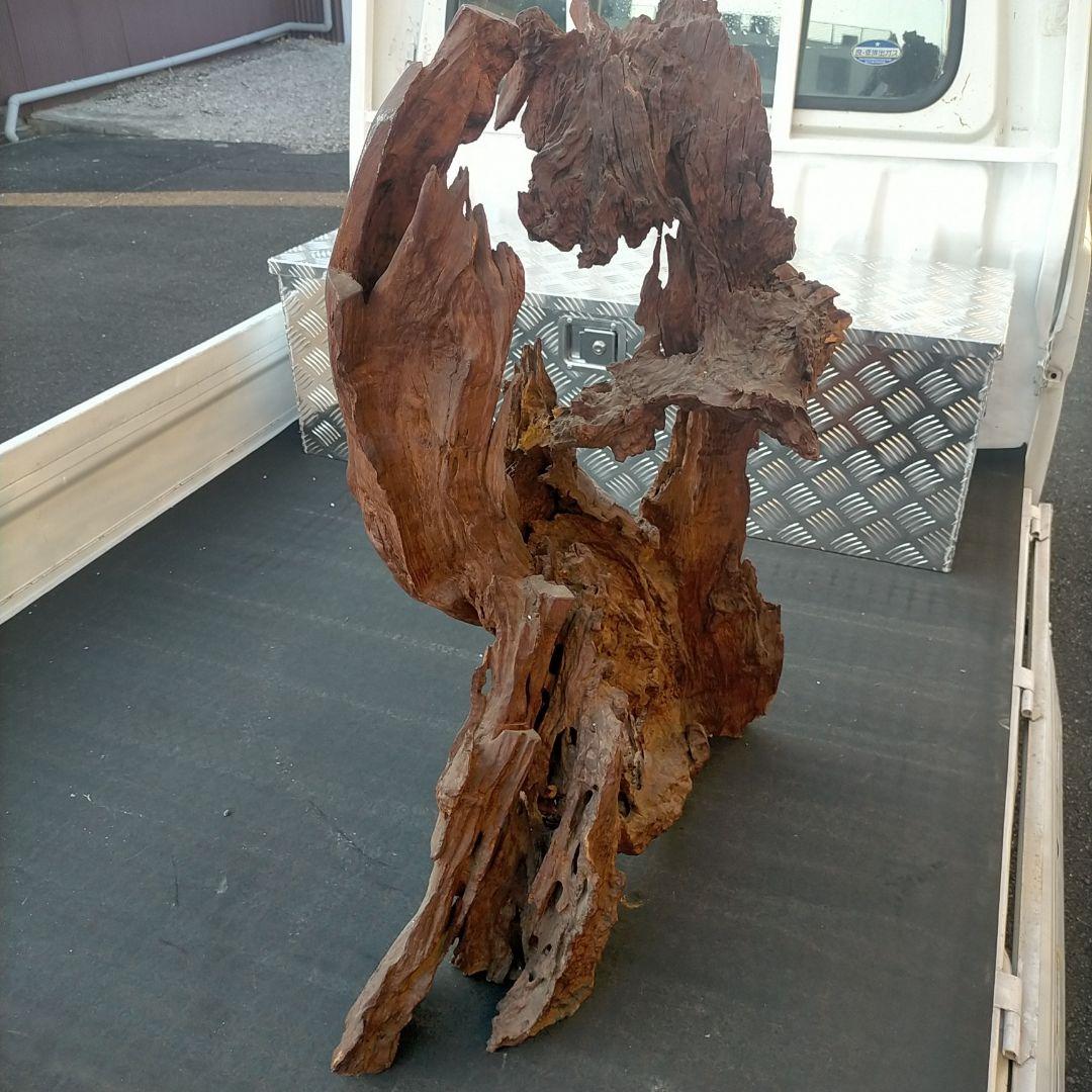 圧倒的な存在感(￣▽￣)玄関や居間にいかがですか？？