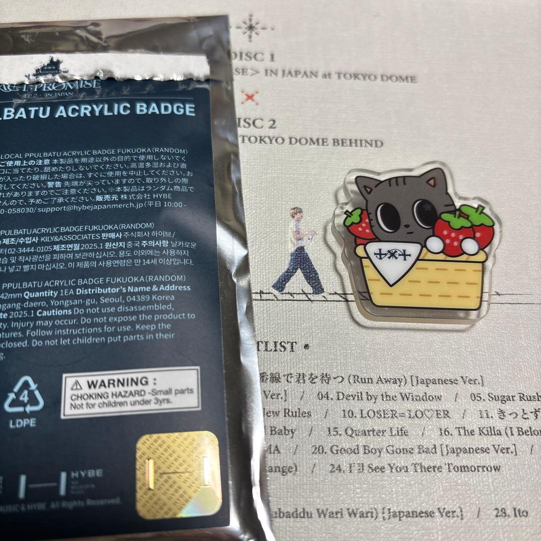 ダゴニャンヘアクリップピンバッジセット