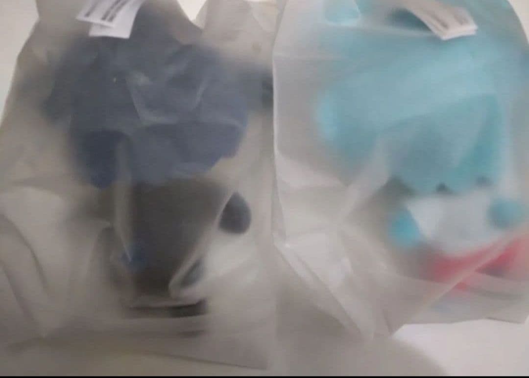 エイリアンステージ イヴァン ティル 兎 うさぎシリーズ ぬいぐるみキーホルダー