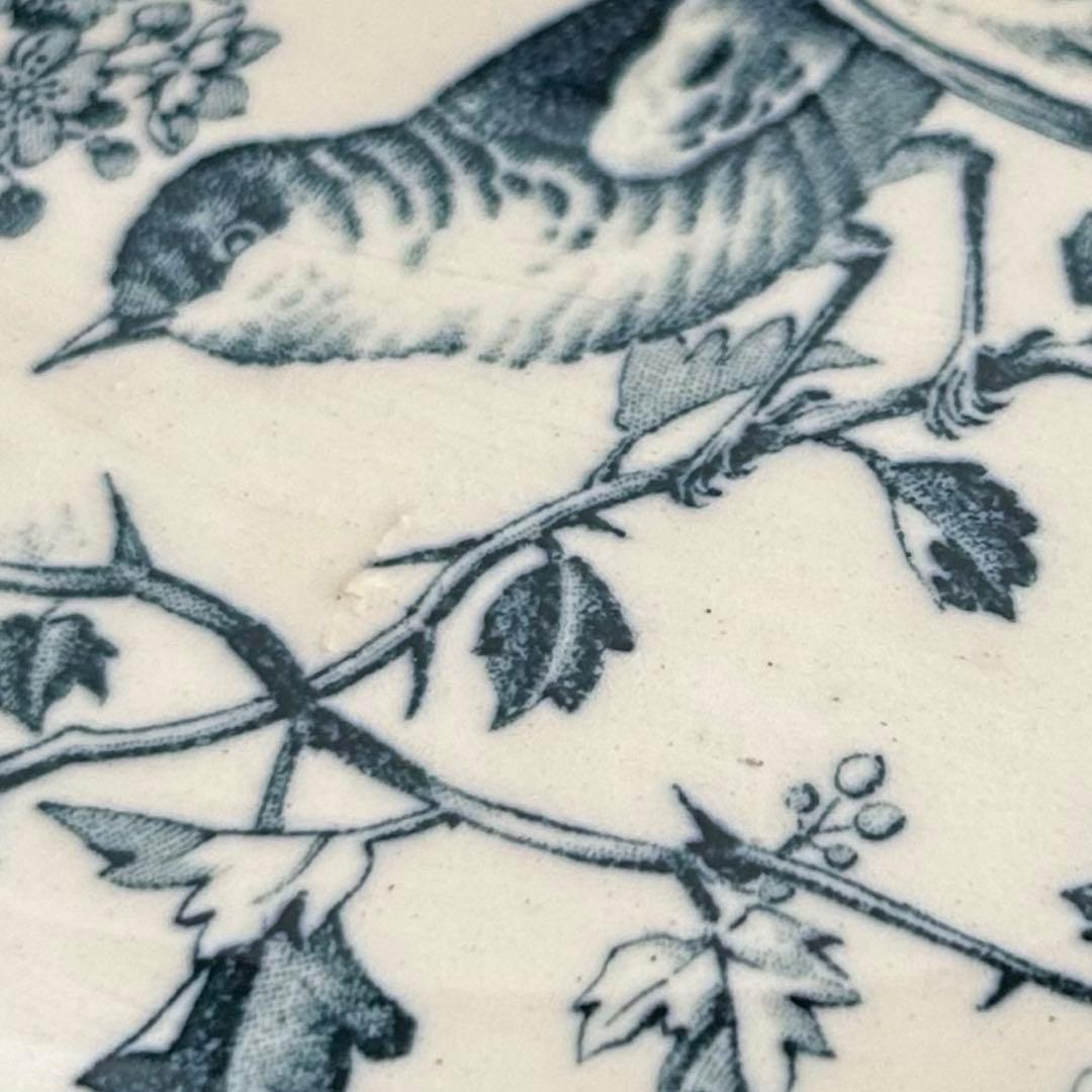 フランス　アンティーク　リュネヴィル　ラヴィエ　鳥