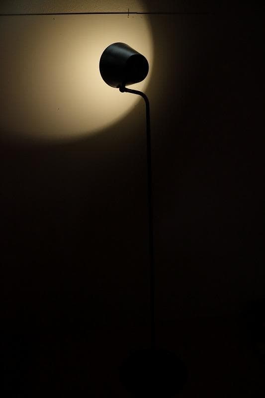 DAIKO / 大光電機 / LED /フロアスタンドランプ / スタンドランプ