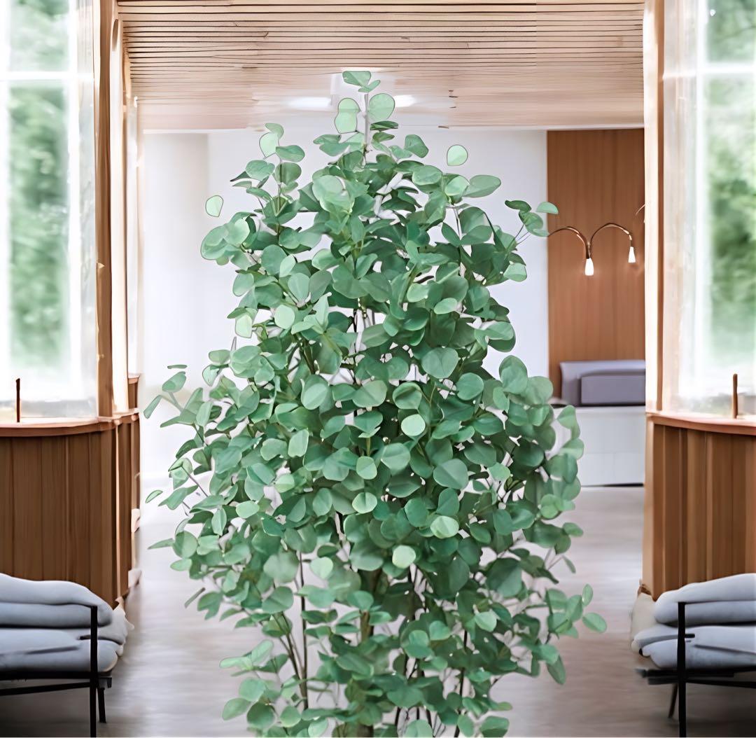 光触媒　人工観葉植物　ウォールグリーン　フェイクグリーン　ユーカリ225