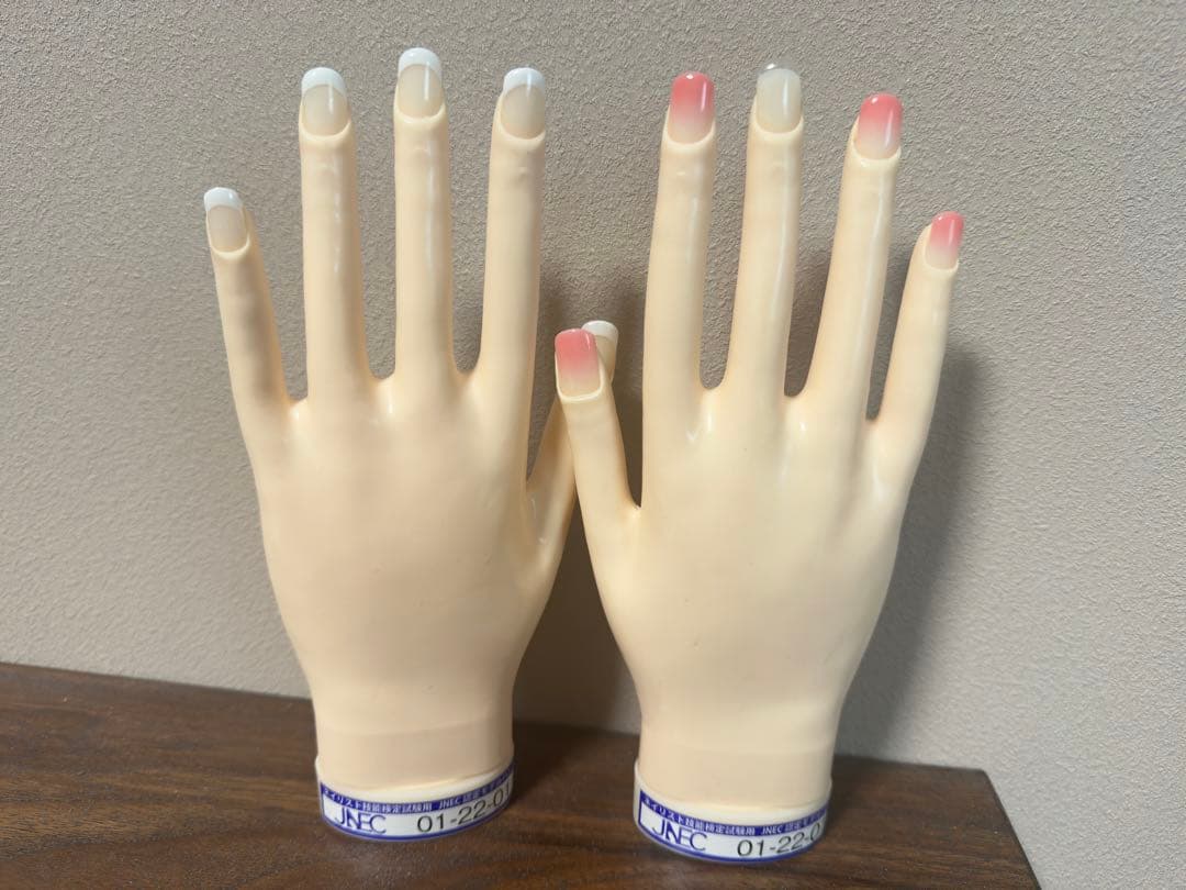JNEC認定モデルハンド STモデルハンド