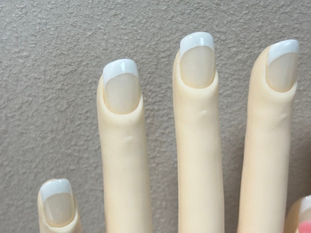 JNEC認定モデルハンド STモデルハンド