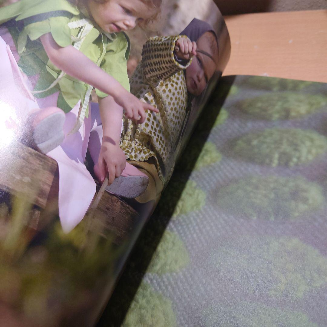 Contes de fées intemporels 型紙集　シトロニール