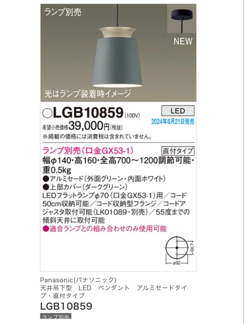 ★新品未使用★パナソニック　LGB10859 Panasonic ペンダント