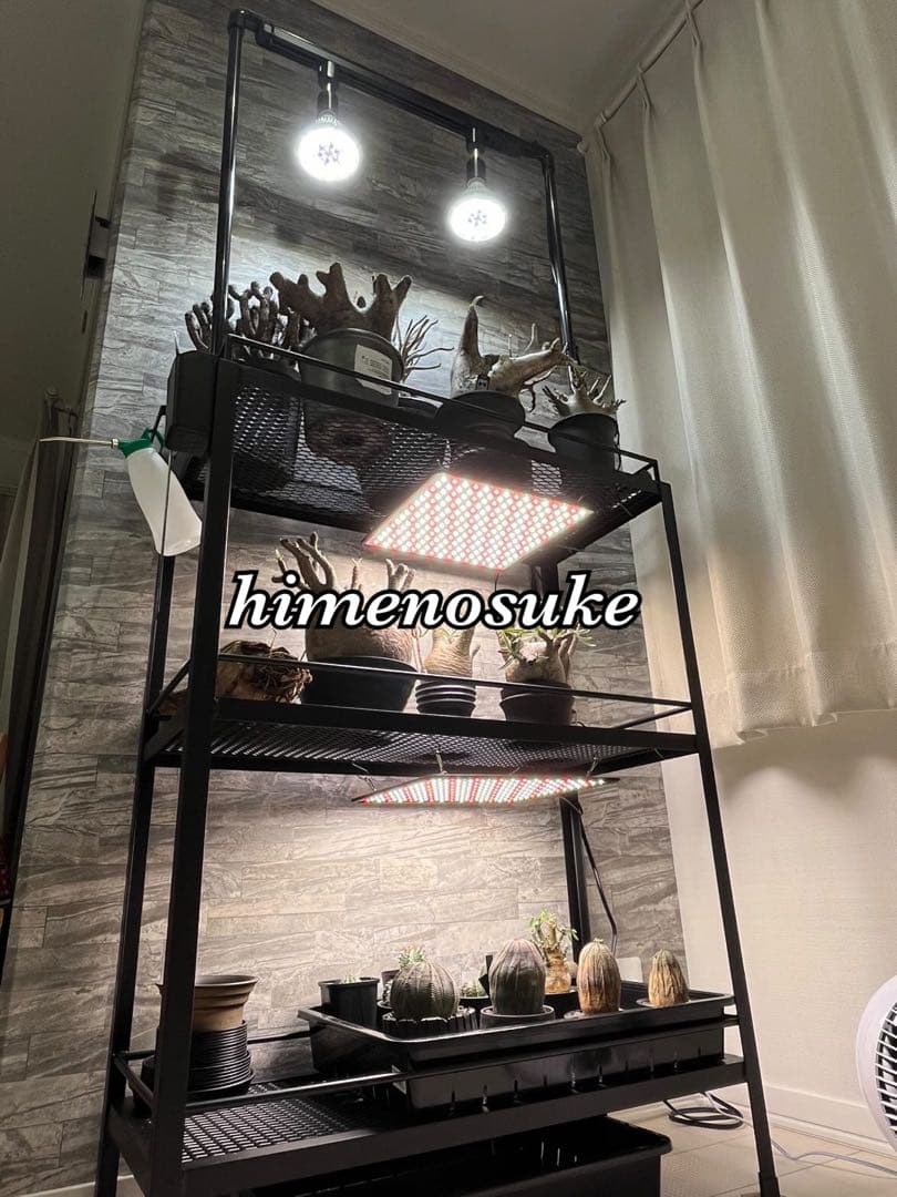 ☆送料込み☆アイアン植物棚　即購入OK ボタニカルシェルフ　アガベ　塊根　熱帯魚