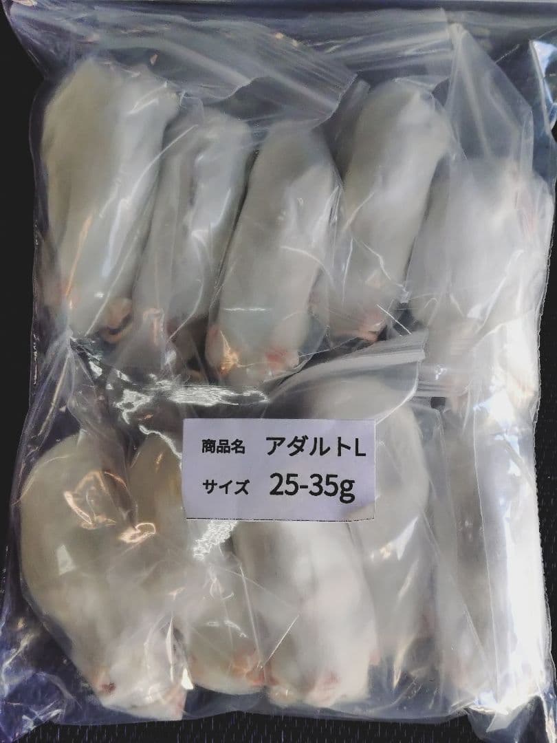 送料無料　冷凍マウスアダルトＬ50匹