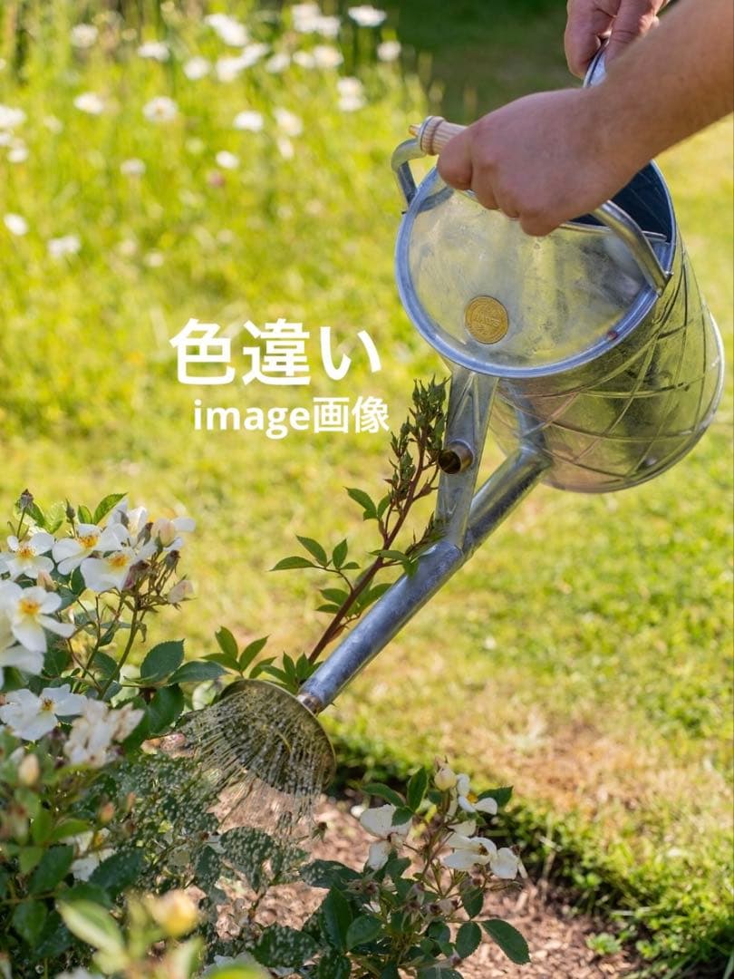 HAWS 英国製　ジョウロ/ジョーロ　ガーデン雑貨　ガーデニング雑貨
