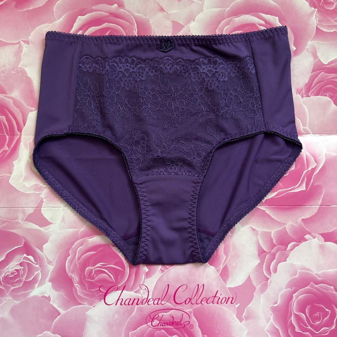 補正下着　シャンデール ショーツ　M