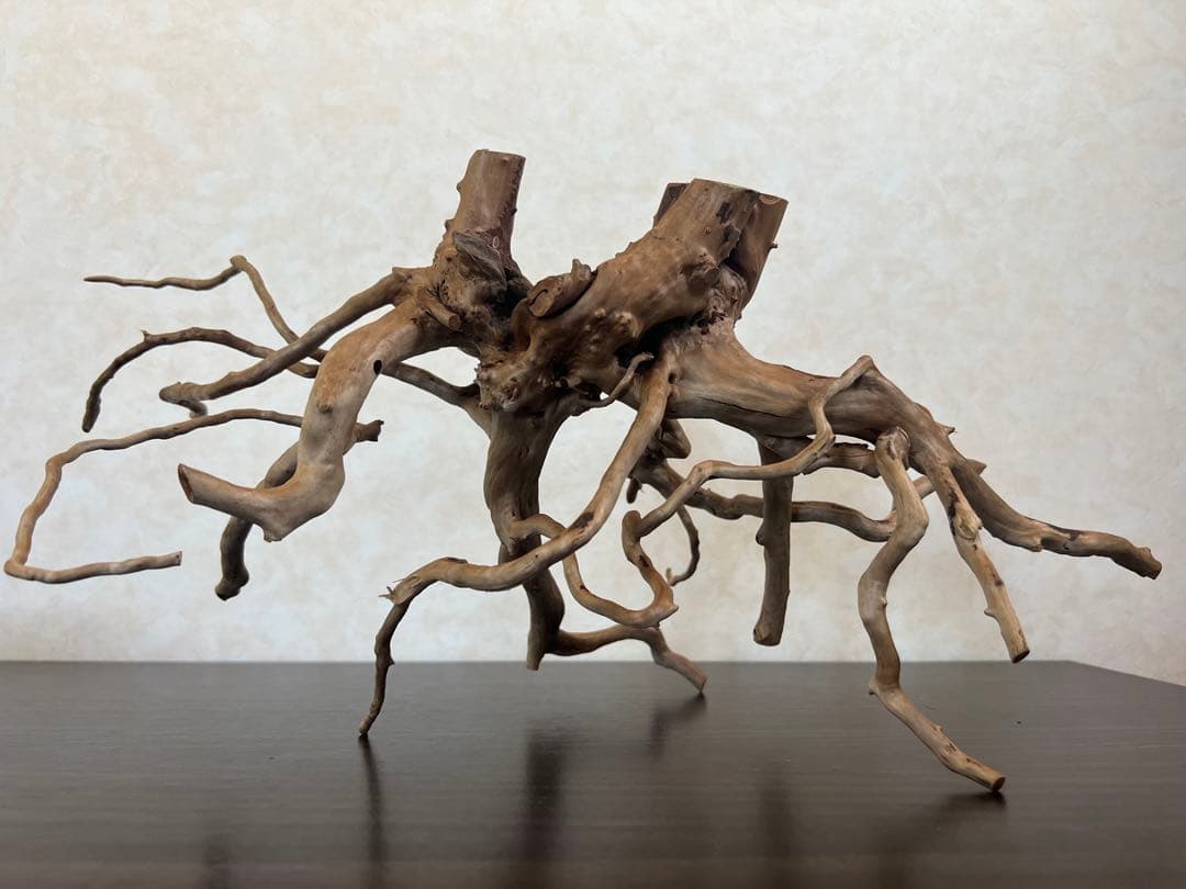 63001 ブランチウッド　流木　アクアリウム　沈水確認済