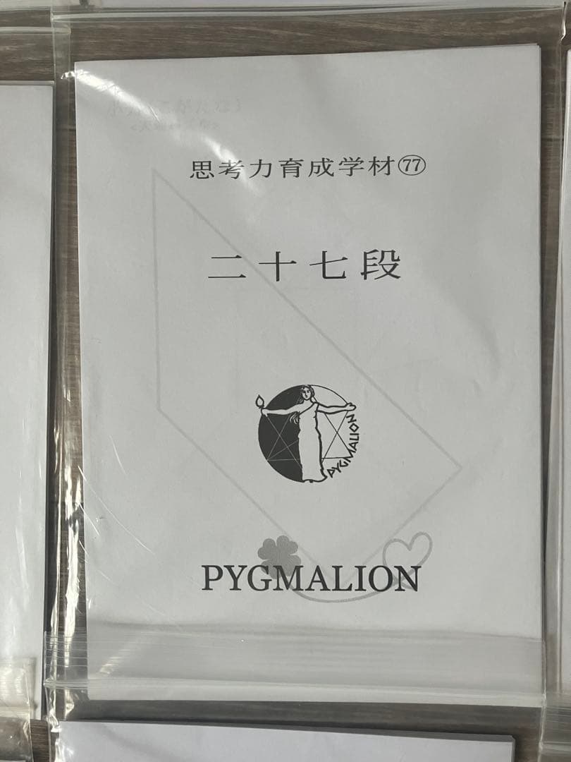 【希少・袋入】ピグマリオン 思考力育成教材 17点セット 二十一段〜三十二段