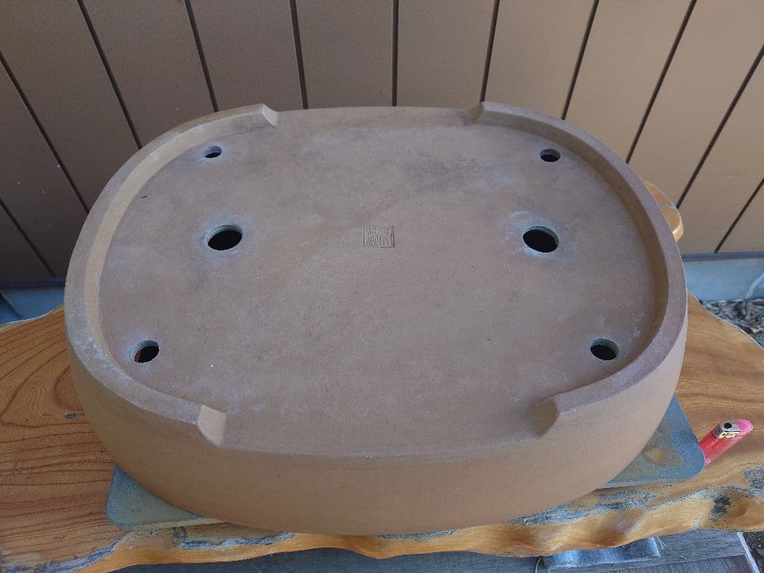 盆栽　鉢　角山　幅56.2cm