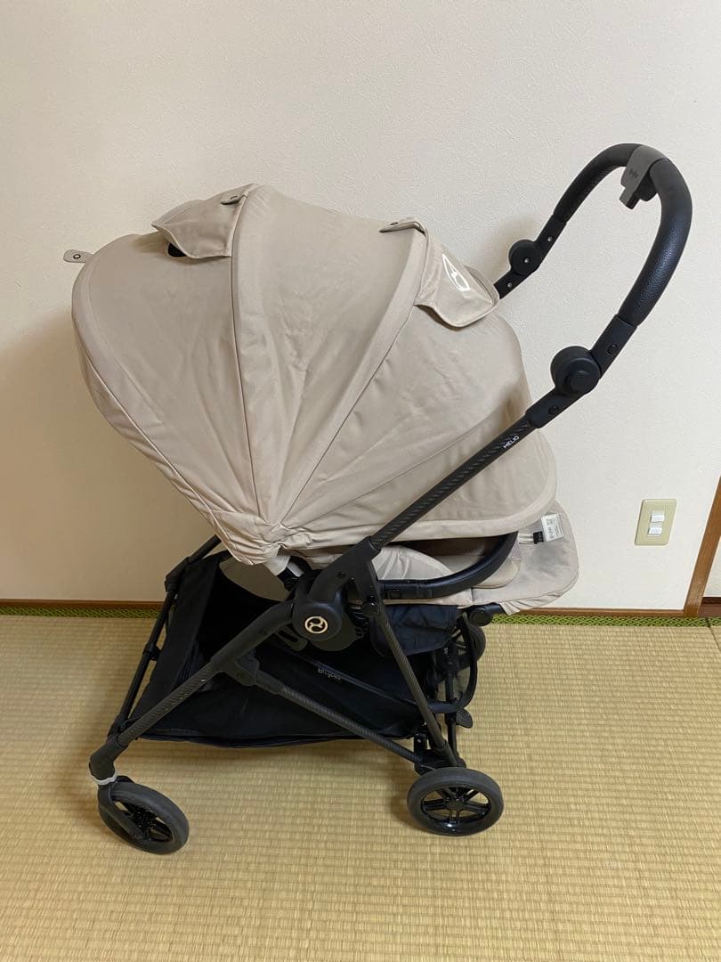 サイベックス　メリオカーボン2024