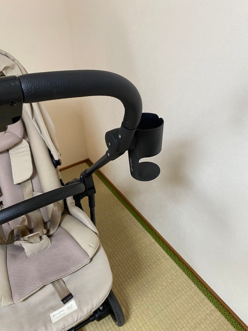 サイベックス　メリオカーボン2024