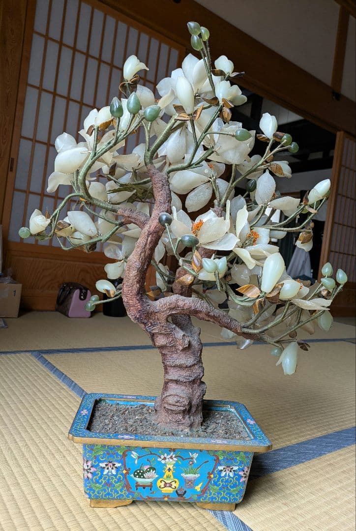 白玉 、玉蘭中型 置物