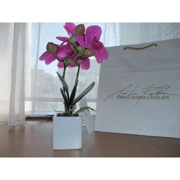 エミリオ・ロバEMILIO ROBBA胡蝶蘭２本立て未使用品