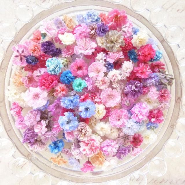 パール‎‎様◆【訳あり】かすみ草♡（ 734 ドライフラワー パーツ レジン)