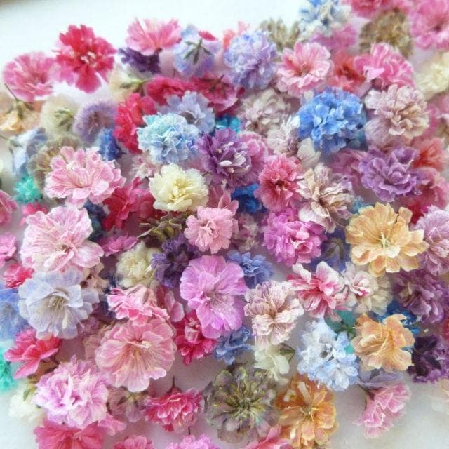 パール‎‎様◆【訳あり】かすみ草♡（ 734 ドライフラワー パーツ レジン)