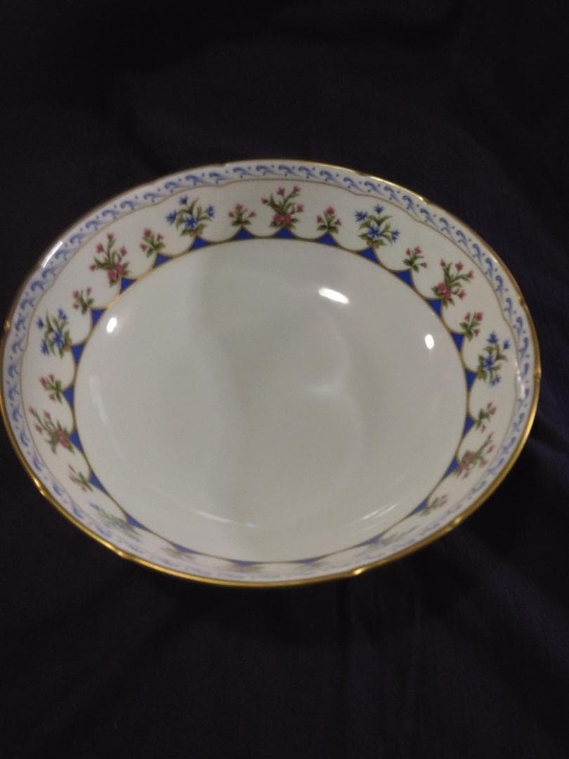 ベルナルド陶器シャトーブリアンサラダ廃盤品ボール大きい