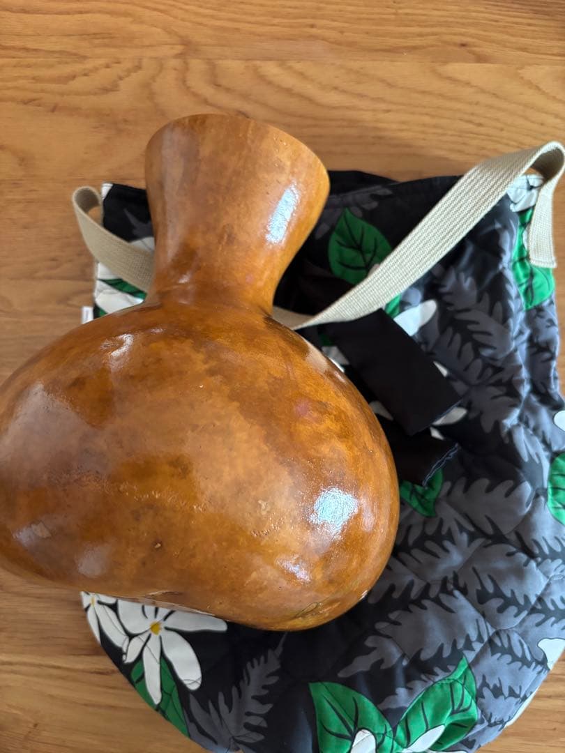 楽器イプ　花柄バッグセット　フラダンス