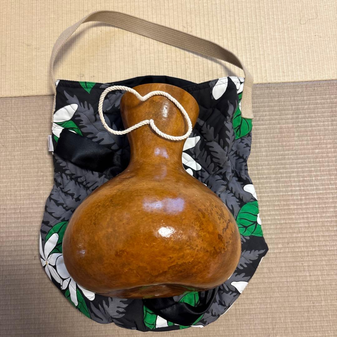 楽器イプ　花柄バッグセット　フラダンス