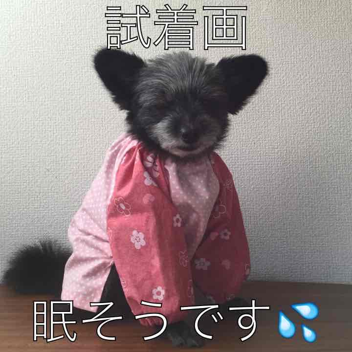 ♡わんこ服♡スモック♡ハンドメイド