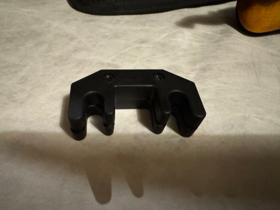 Roderich Paesold バイオリン / 弓・肩当て・ハードケース付き