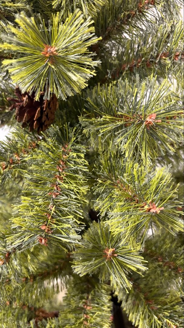 アルザスツリー　180センチ