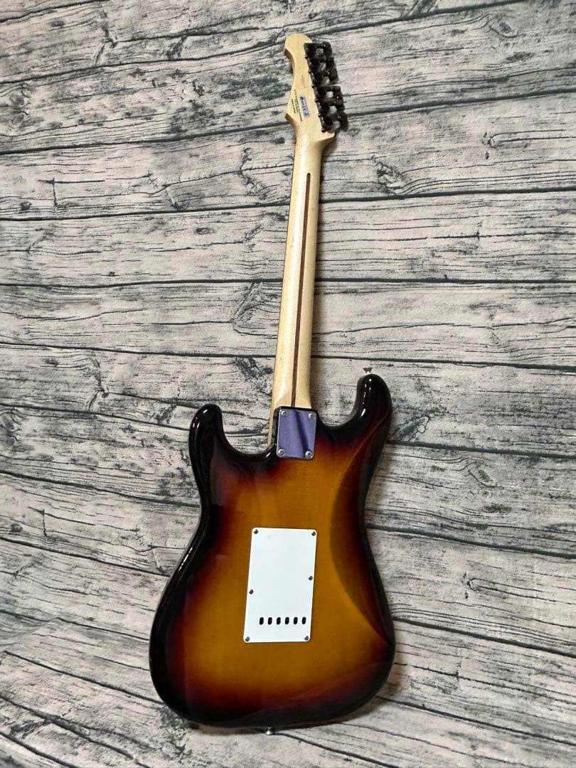 FgN エレキギター JST-5R 2013年製 ソフトケース付属