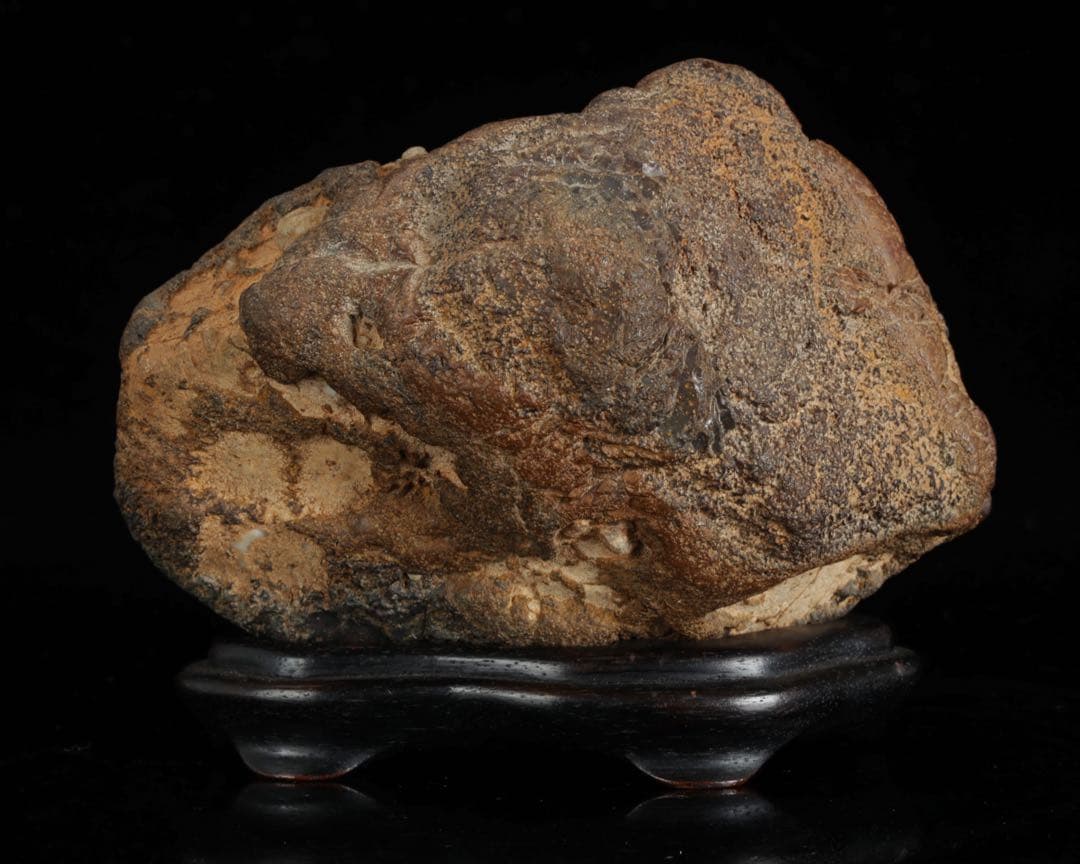 菊花石 紋石 台座 箱付 769g 鑑賞石 原石 自然石 美石 水石 盆石 飾石