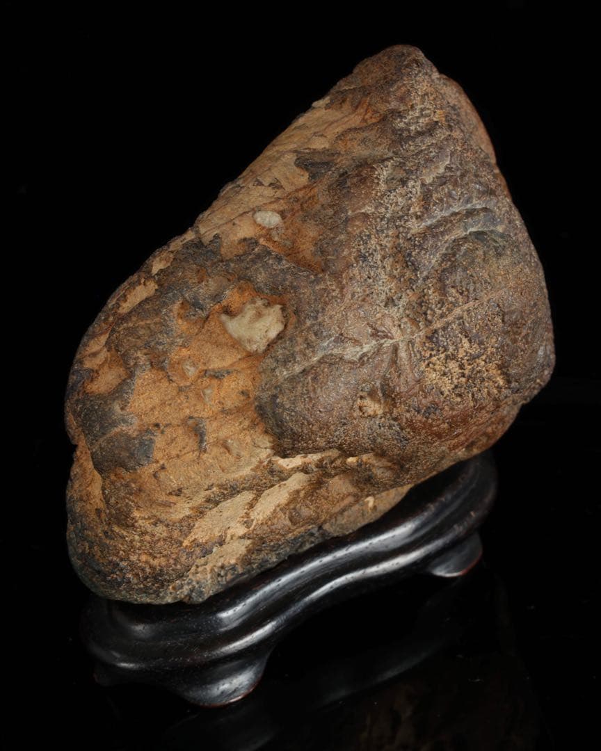 菊花石 紋石 台座 箱付 769g 鑑賞石 原石 自然石 美石 水石 盆石 飾石