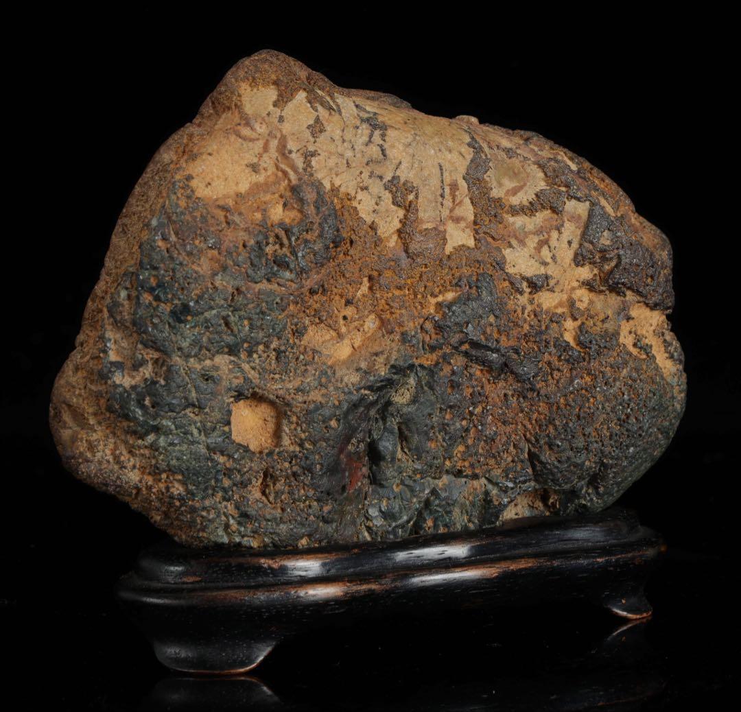 菊花石 紋石 台座 箱付 769g 鑑賞石 原石 自然石 美石 水石 盆石 飾石