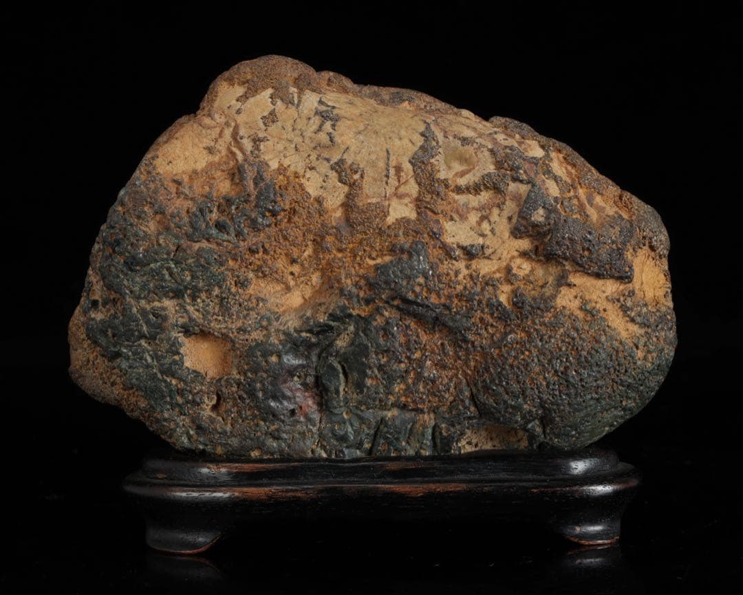 菊花石 紋石 台座 箱付 769g 鑑賞石 原石 自然石 美石 水石 盆石 飾石