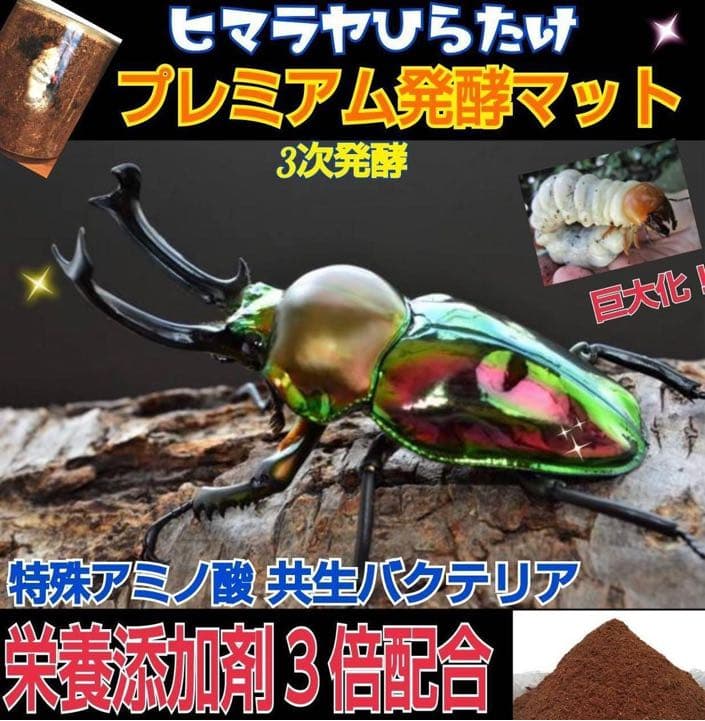 ミヤマクワガタ、ノコギリ幼虫に抜群！800mlボトル入プレミアム発酵マット30本