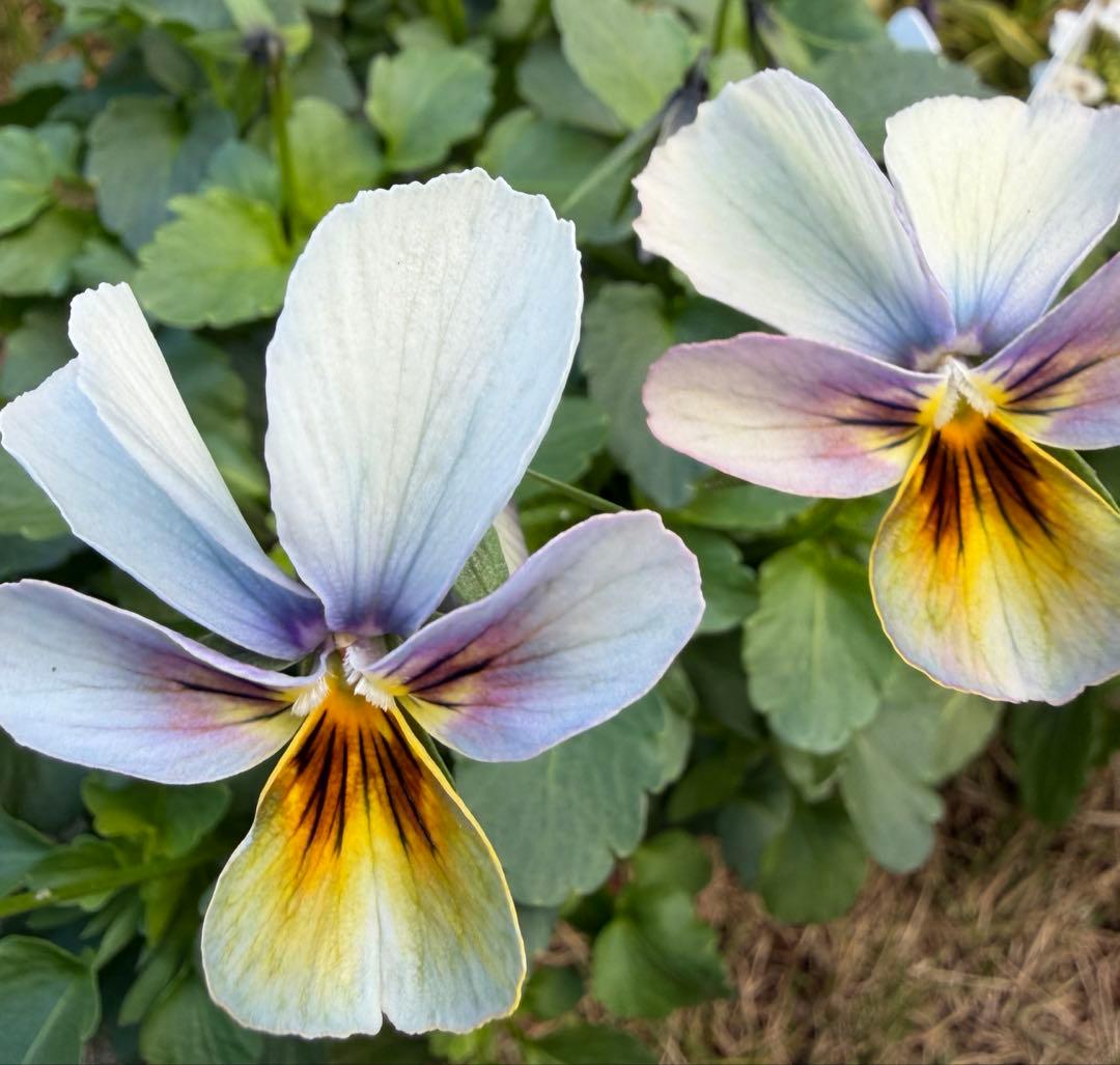 tami様　おまとめ用画面