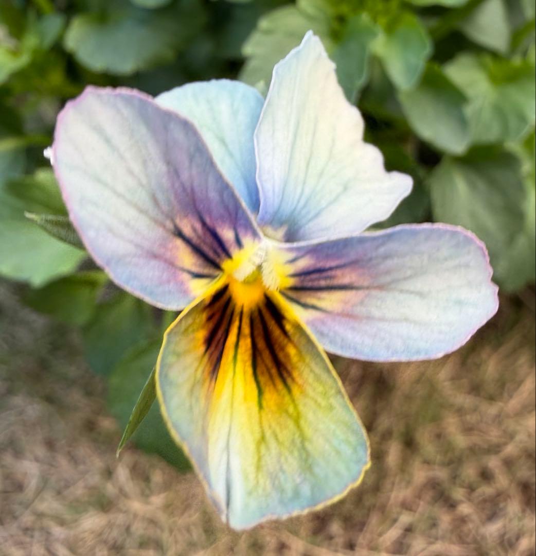 tami様　おまとめ用画面