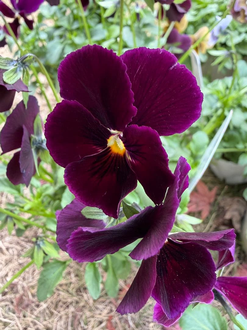 tami様　おまとめ用画面