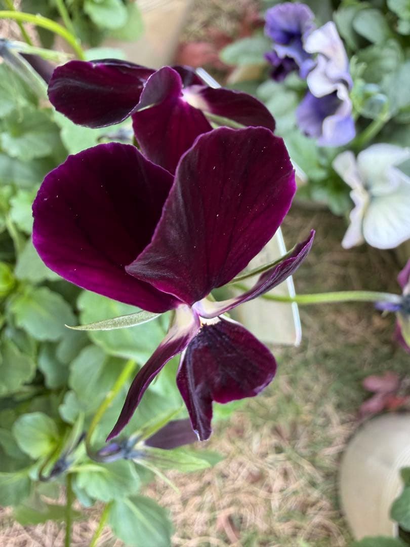 tami様　おまとめ用画面