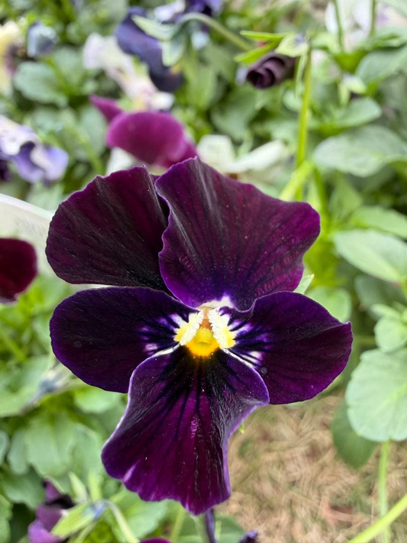 tami様　おまとめ用画面