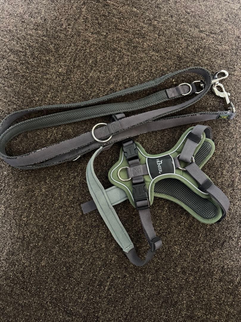 HUNTER ハンター 犬用 ハーネス リード　セット