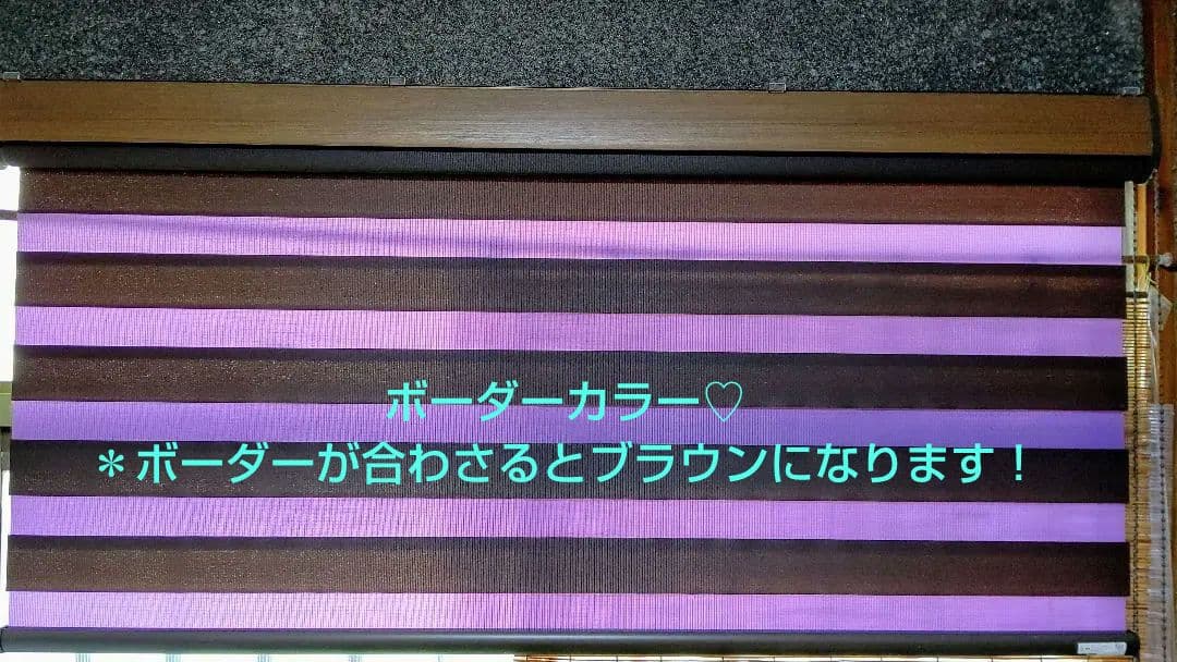 【タチカワブラインド】【Duole´】◆ロールスクリーン╱デュオレ♥