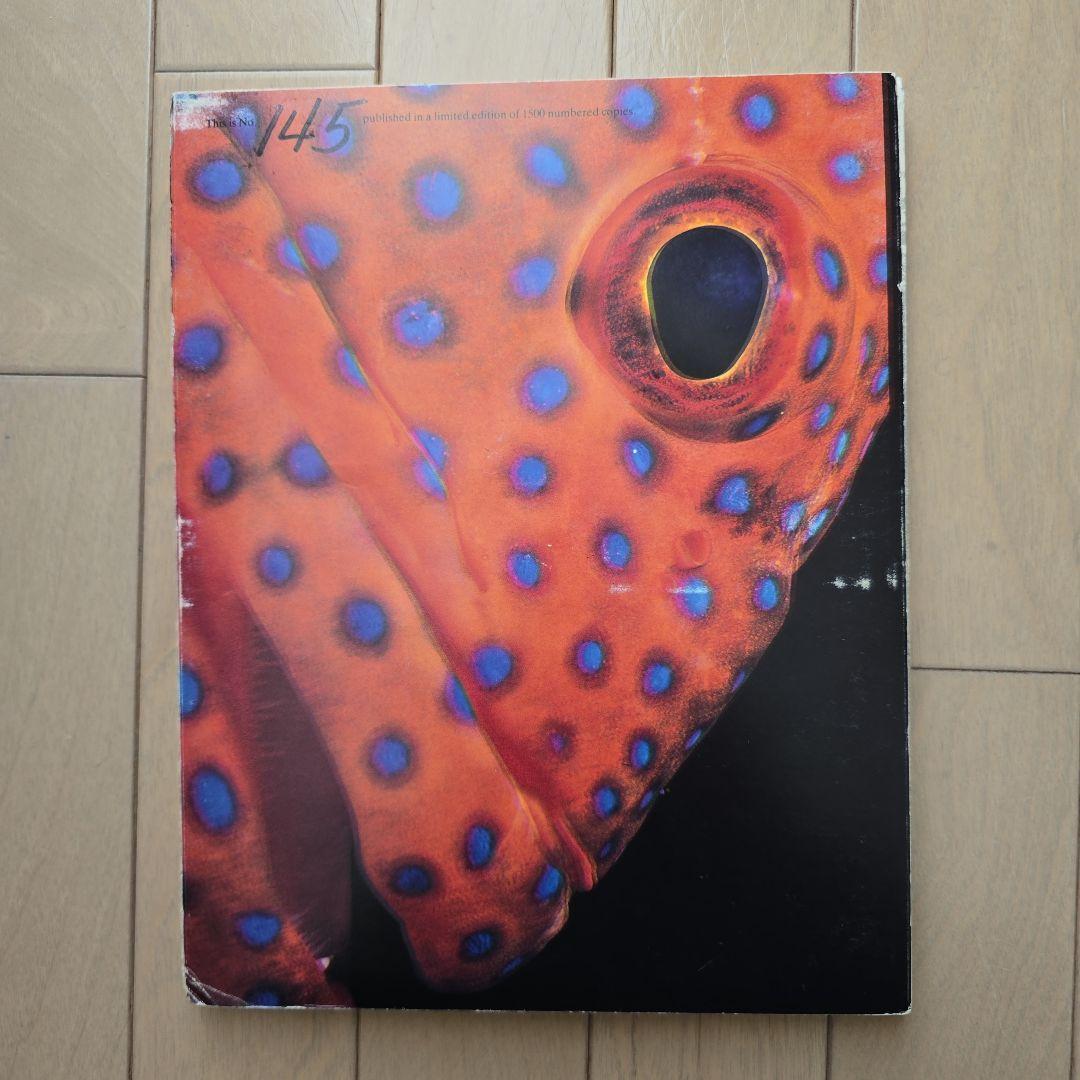 visionaire 7冊