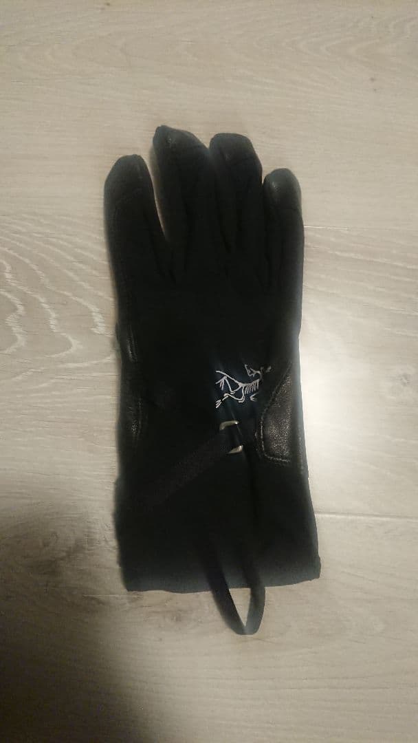 ★JIN アークテリクスAlpha SL Glove
