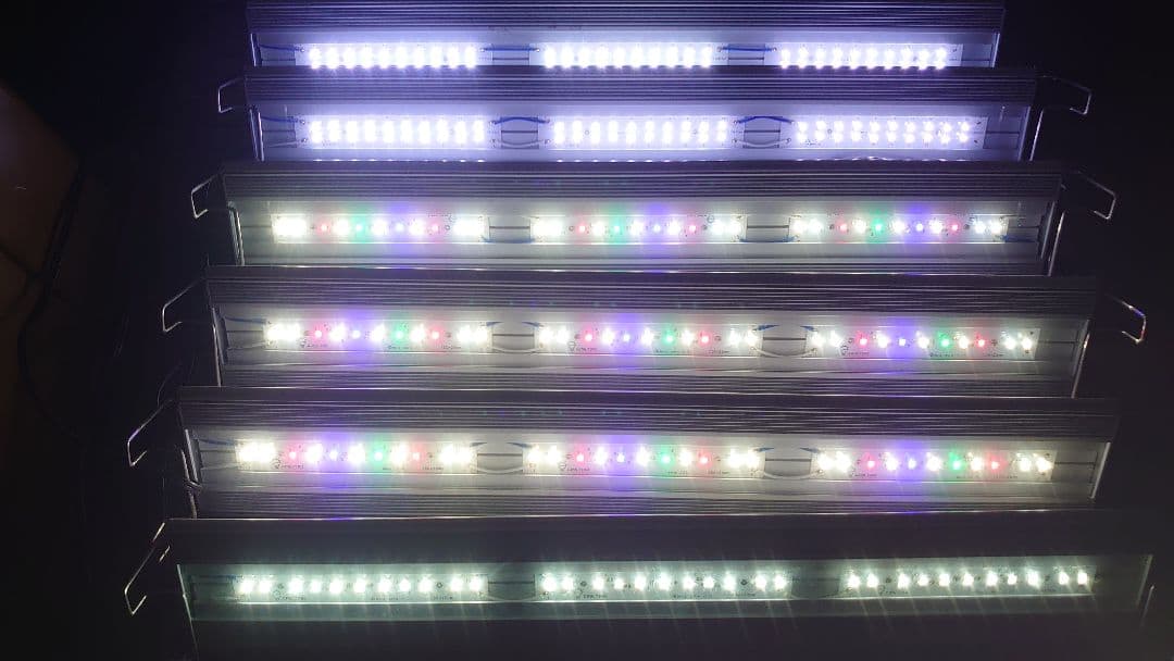 Aqullo Triangle Grow Bright Vivid 60　計6個