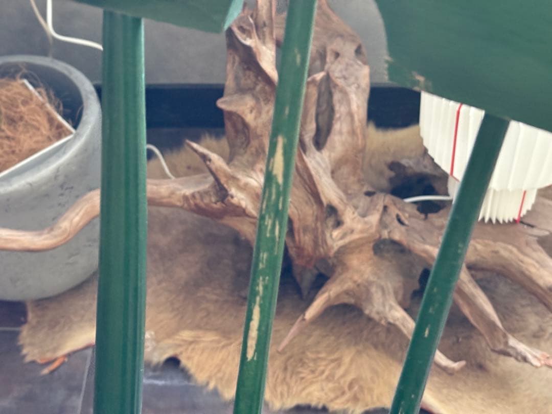 希少　飛騨産業　キツツキマーク　グリーンロッキングチェア　ヴィンテージ　nG